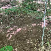 Review photo of Winturri Backcountry Shelter on the AT in Vermont — Appalachian National Scenic Trail by Justin P., September 18, 2022