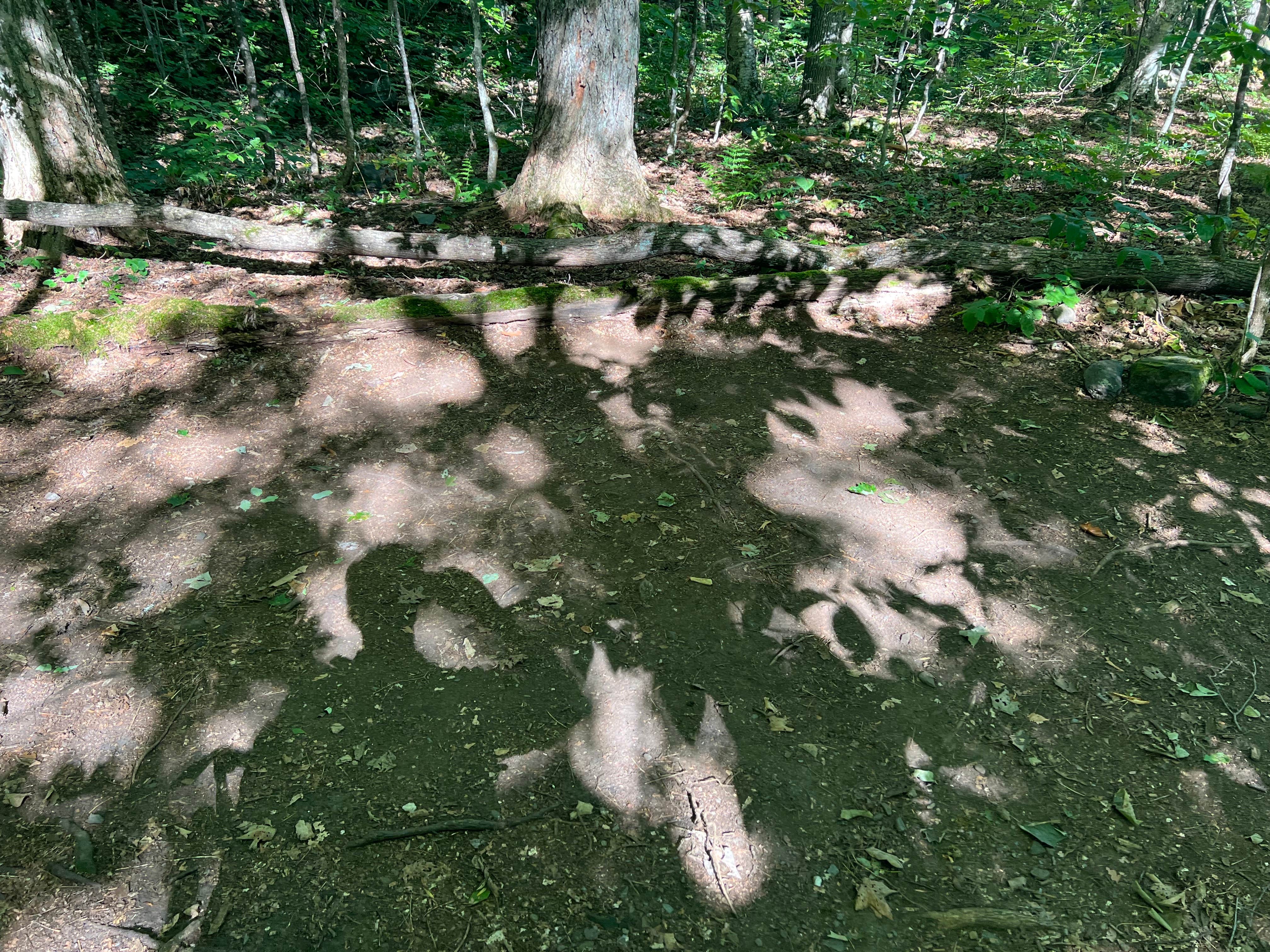 Camper-submitted photo at Winturri Backcountry Shelter on the AT in Vermont — Appalachian National Scenic Trail near South Royalton, VT
