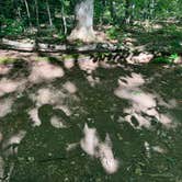 Review photo of Winturri Backcountry Shelter on the AT in Vermont — Appalachian National Scenic Trail by Justin P., September 18, 2022