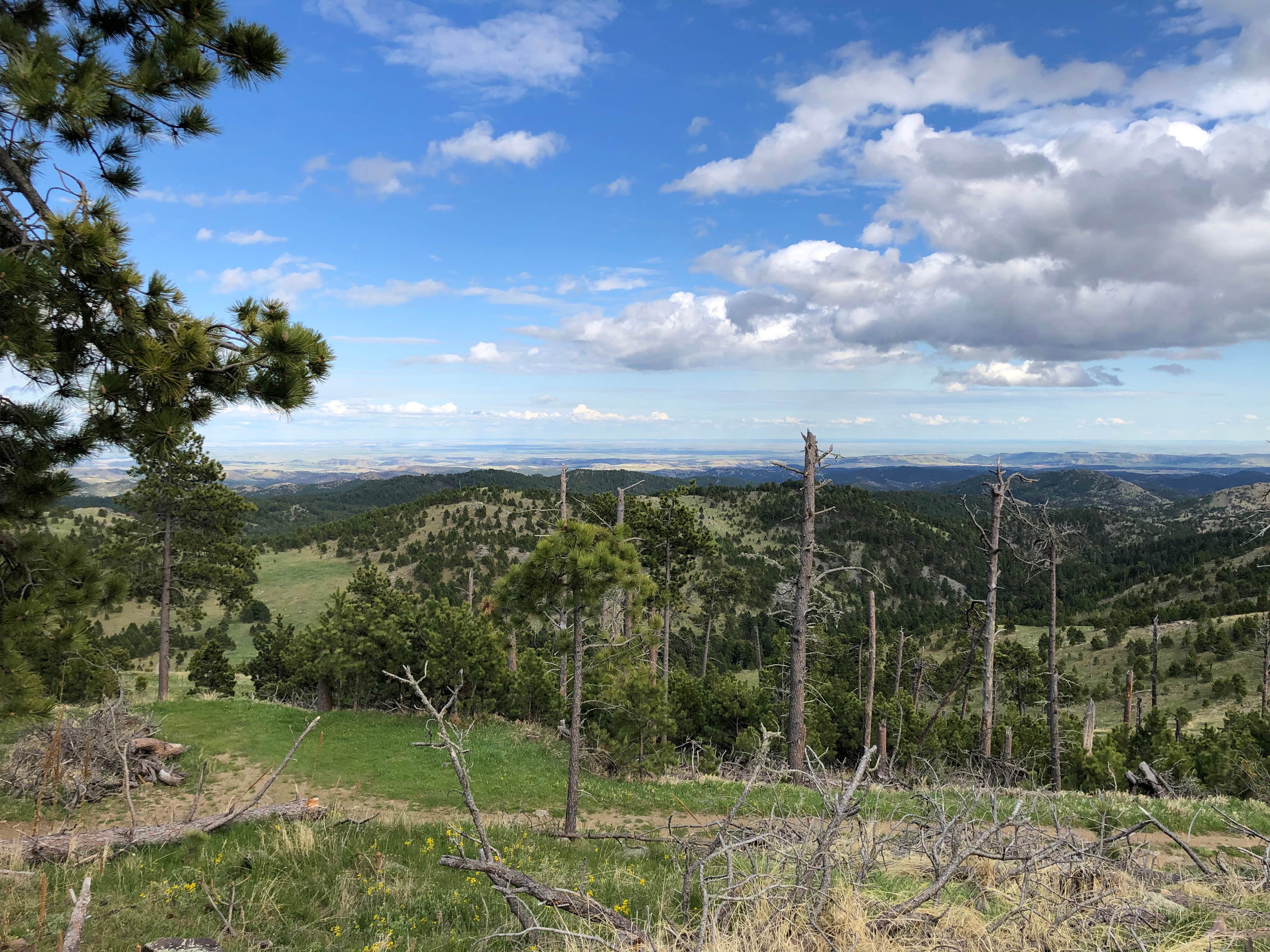 Camper-submitted photo at French Creek Horse Camp — Custer State Park near Fairburn, SD