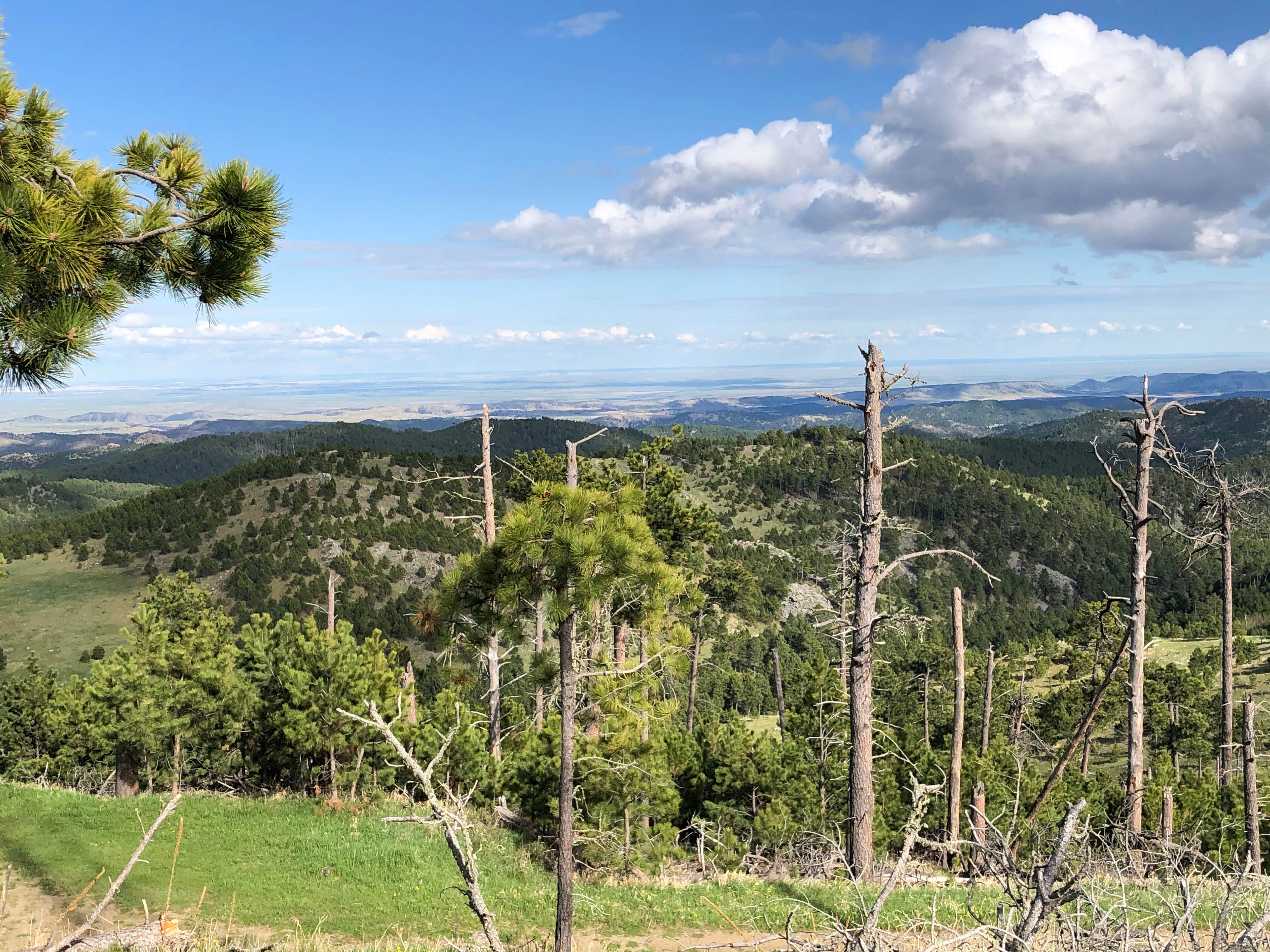 Camper-submitted photo at French Creek Horse Camp — Custer State Park near Fairburn, SD