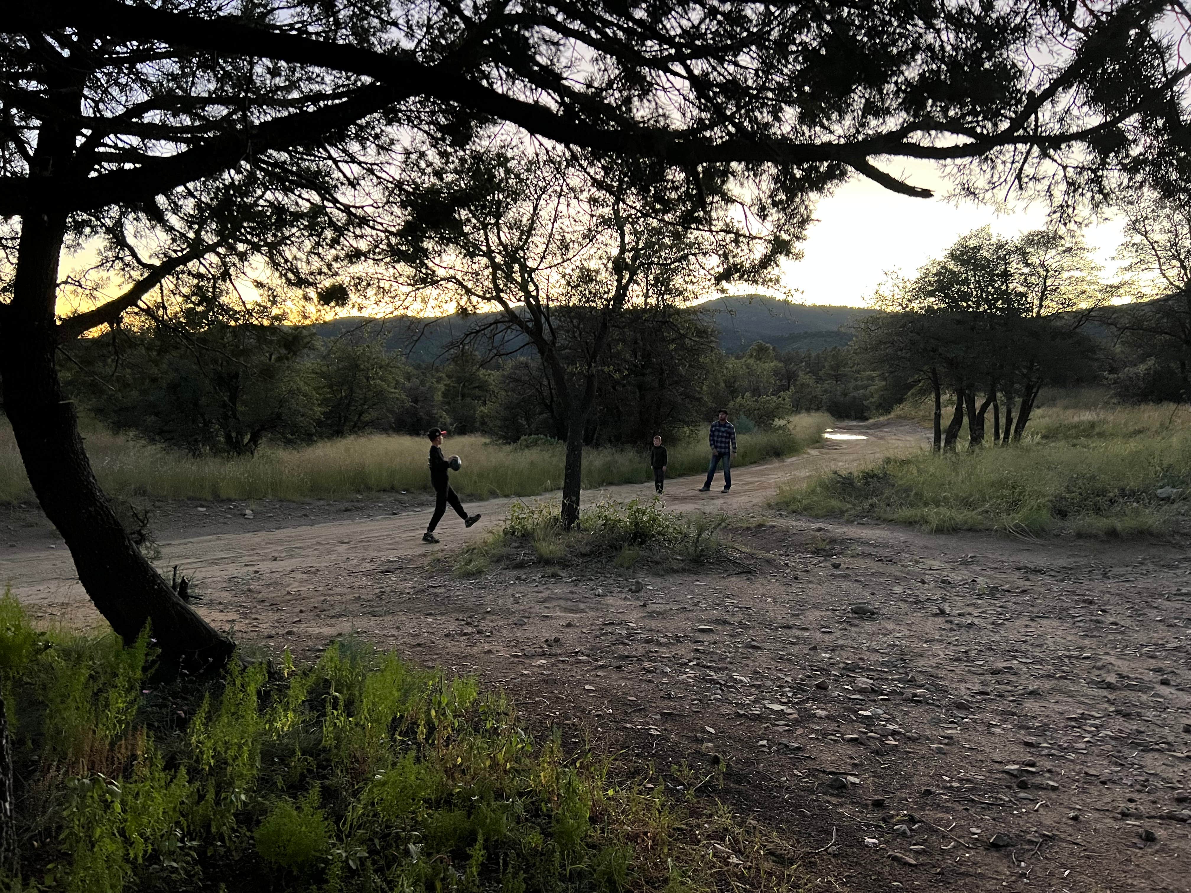 Camper submitted image from Prescott Basin - Ponderosa Park Road Dispersed Camping - 4