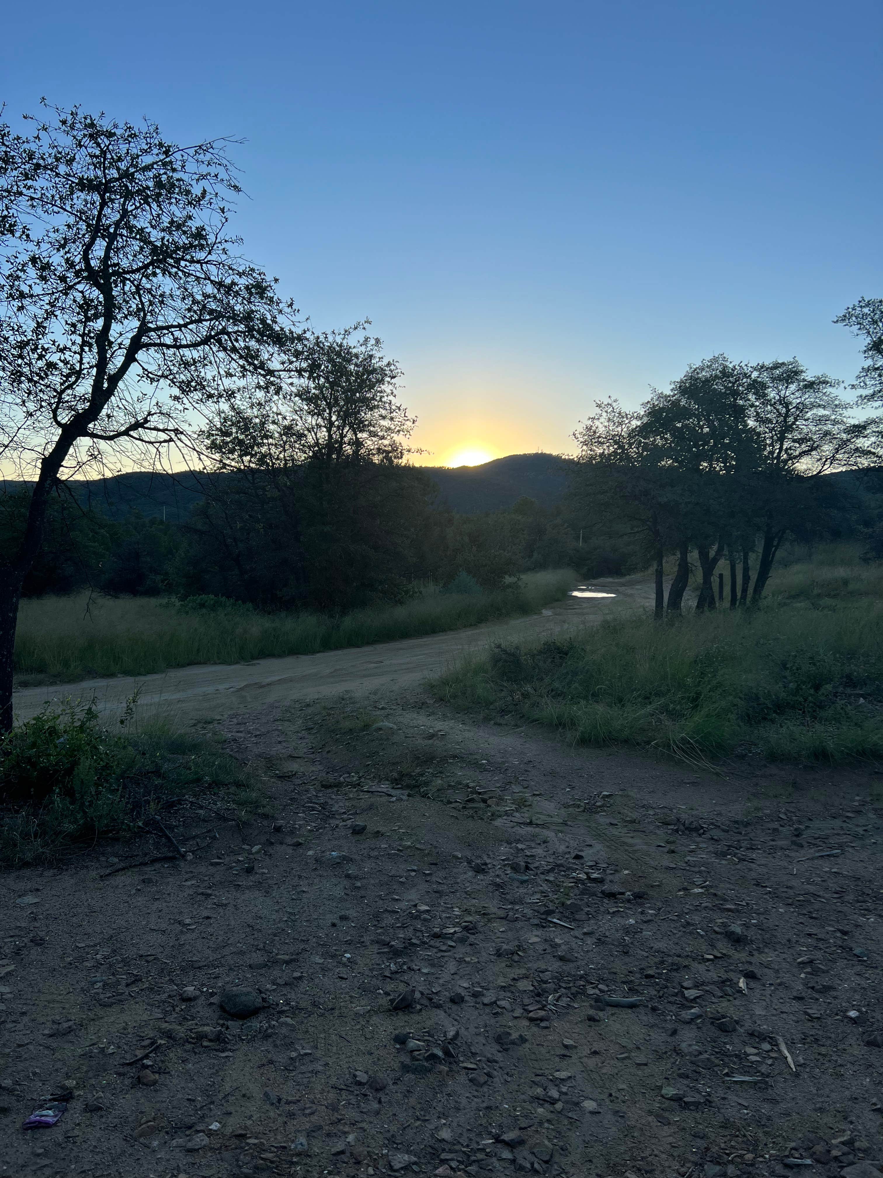 Camper submitted image from Prescott Basin - Ponderosa Park Road Dispersed Camping - 2