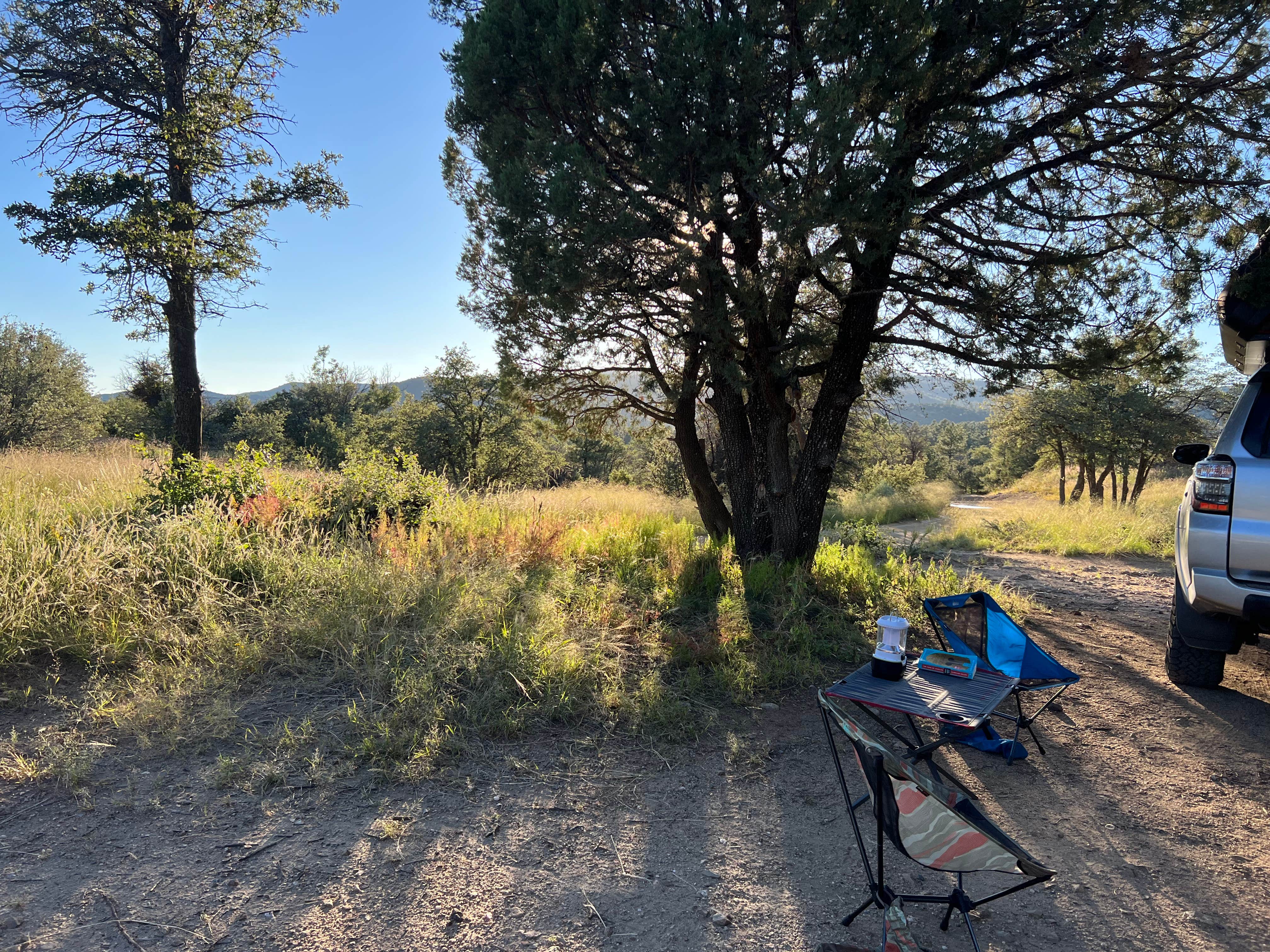 Camper submitted image from Prescott Basin - Ponderosa Park Road Dispersed Camping - 5