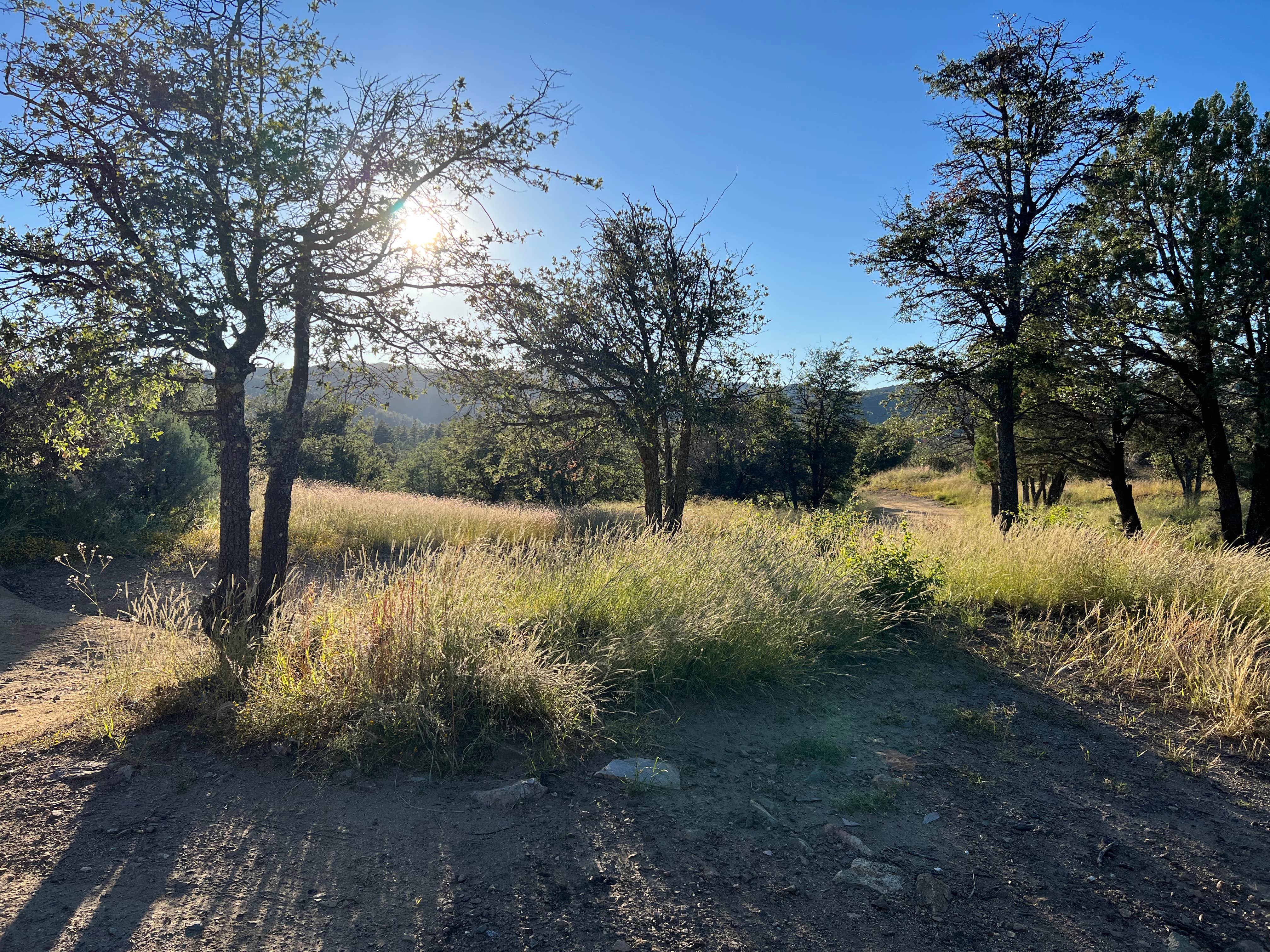 Camper submitted image from Prescott Basin - Ponderosa Park Road Dispersed Camping - 3