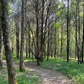 Hiking trail is a 1.5 mile loop