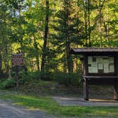 Review photo of King Lake State Forest Campground by Nikki P., September 18, 2022