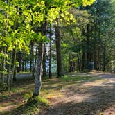 Review photo of King Lake State Forest Campground by Nikki P., September 18, 2022