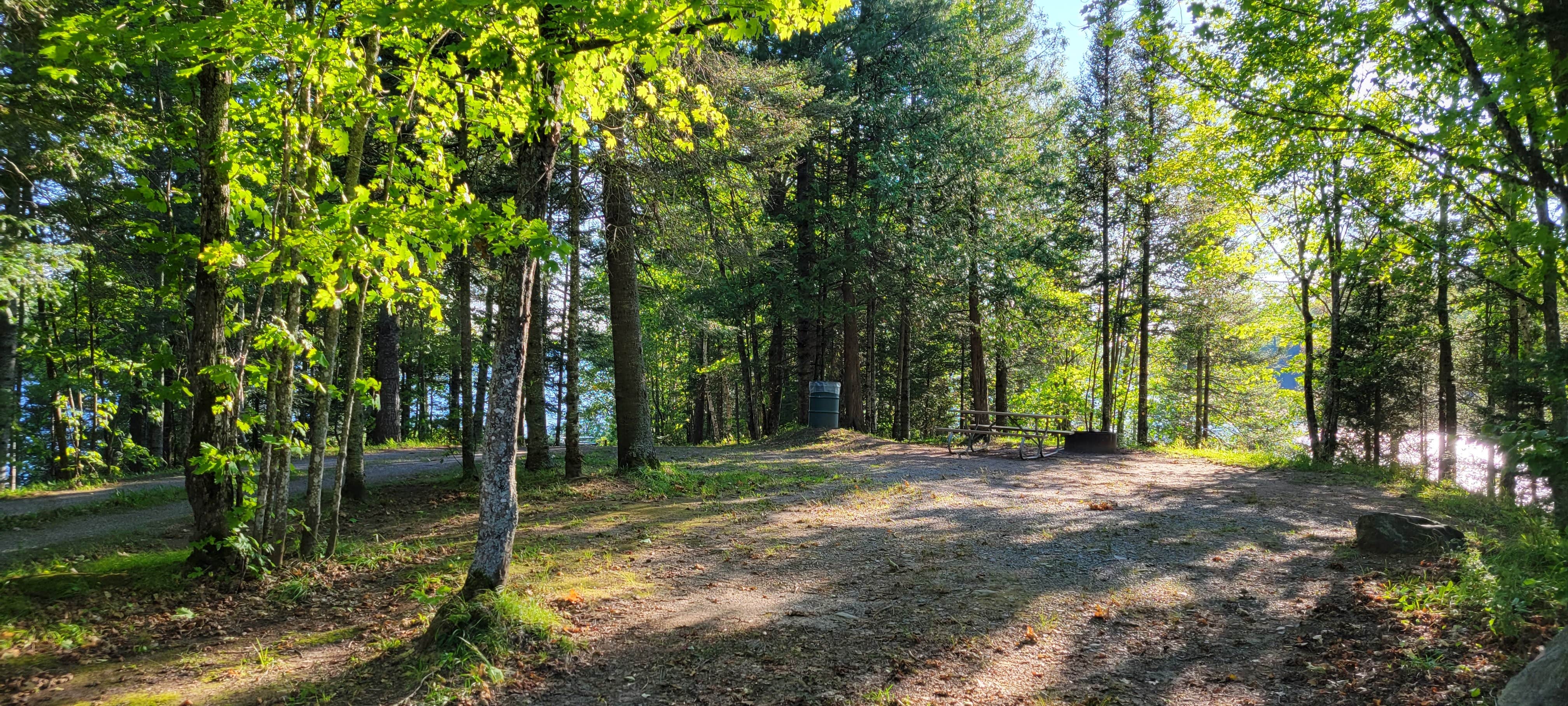 Camper submitted image from King Lake State Forest Campground - 1