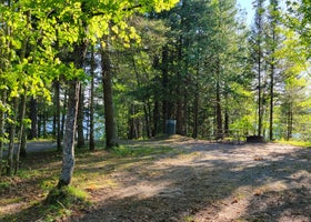 King Lake State Forest Campground