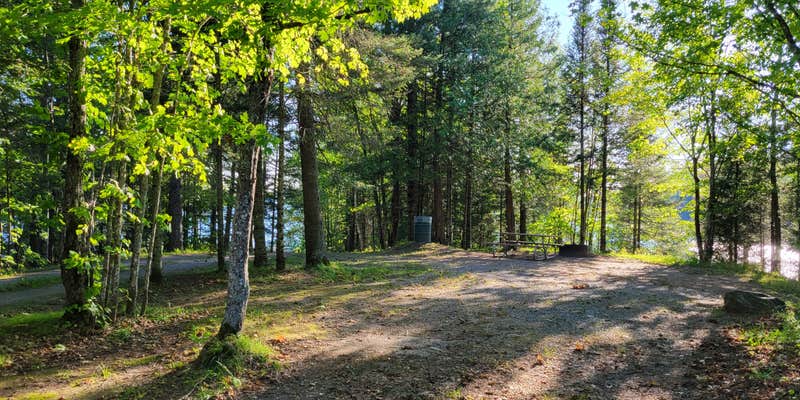 Camper submitted image from King Lake State Forest Campground