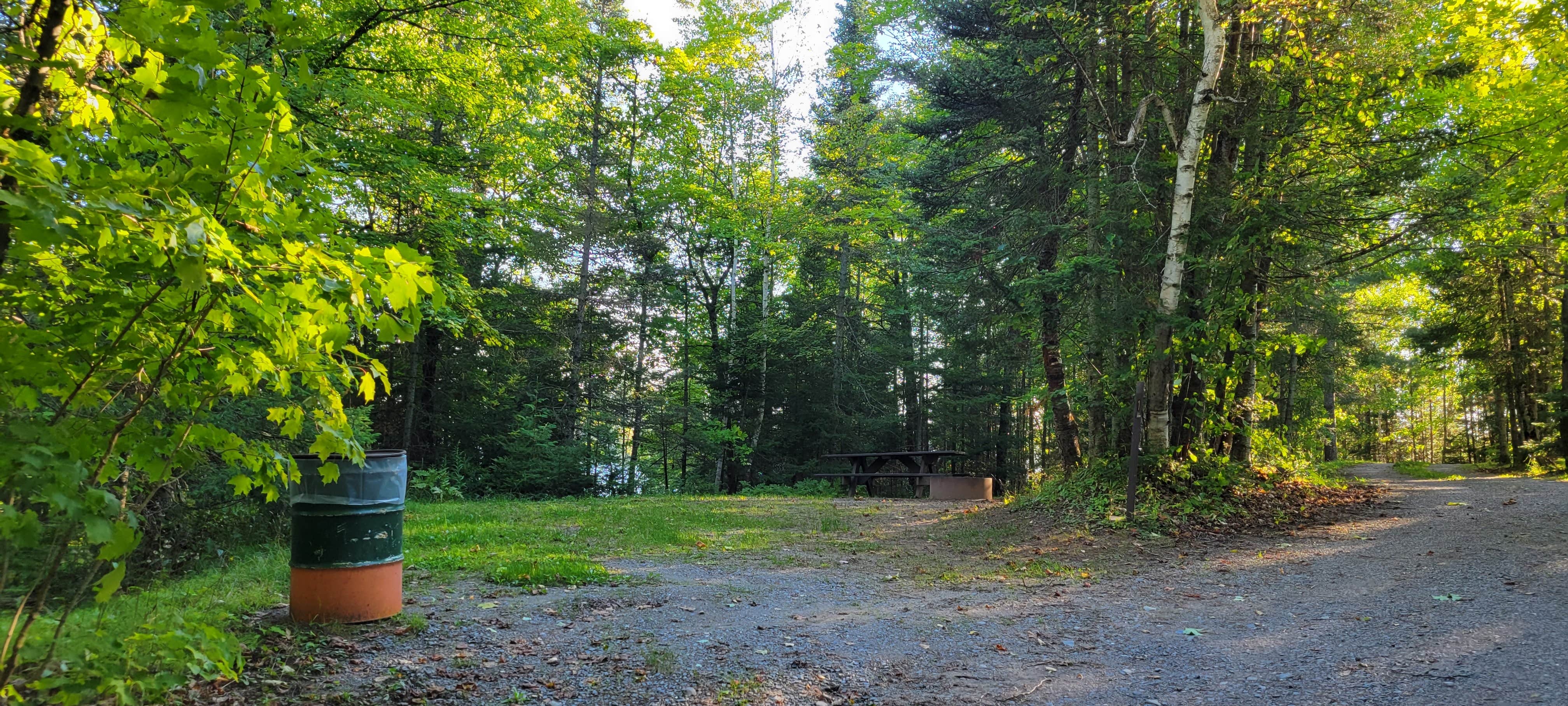 Camper-submitted photo at King Lake State Forest Campground near Watton, MI