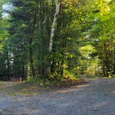 Review photo of King Lake State Forest Campground by Nikki P., September 18, 2022