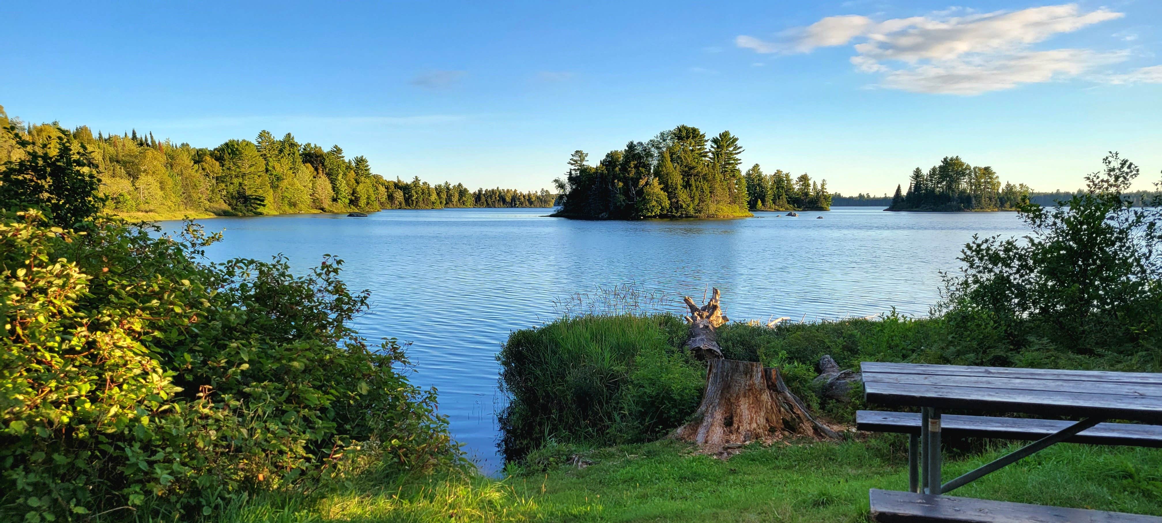 Camper-submitted photo at King Lake State Forest Campground near Watton, MI