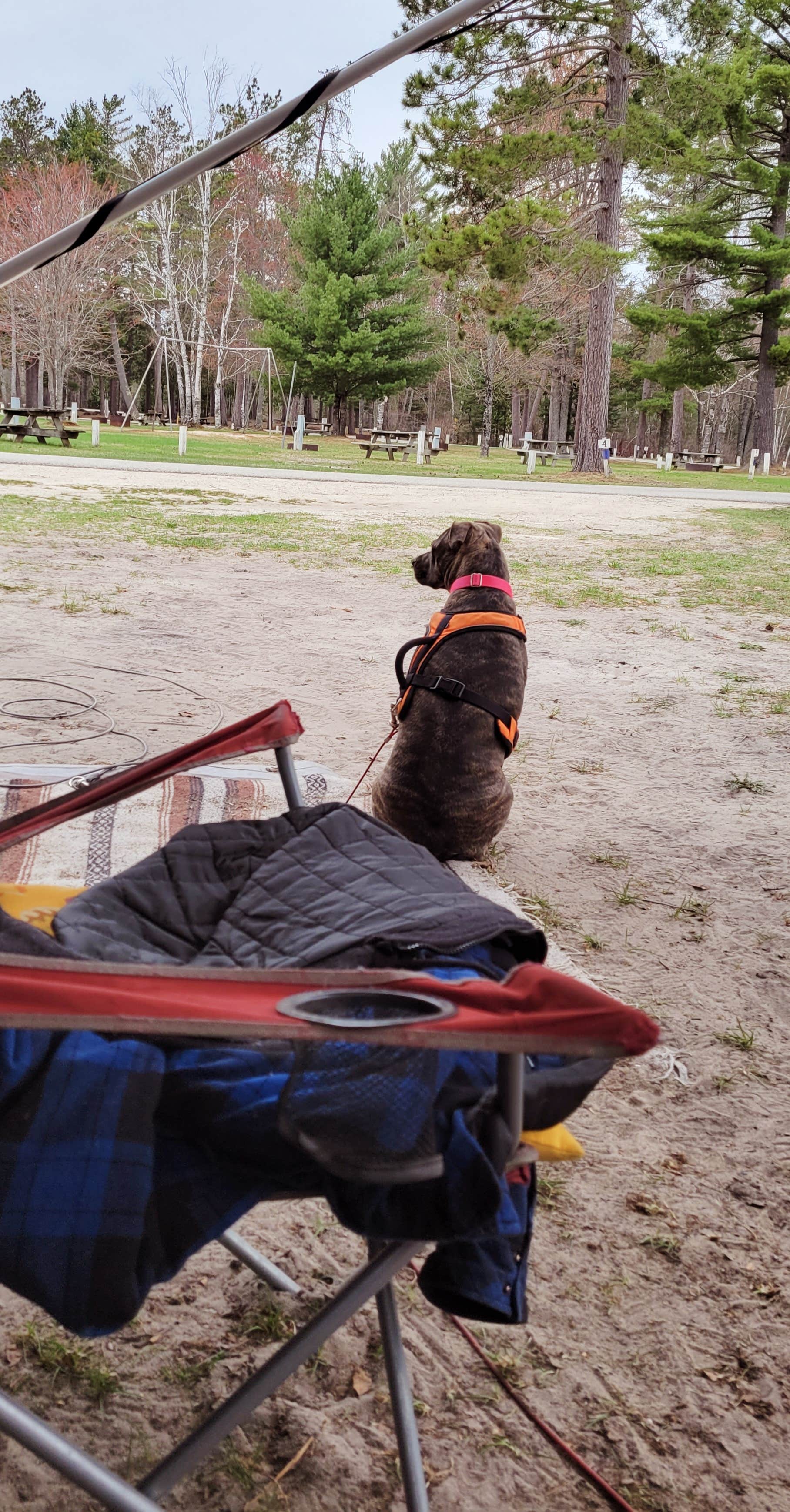 Camper-submitted photo at Seney Township Campground near Seney, MI