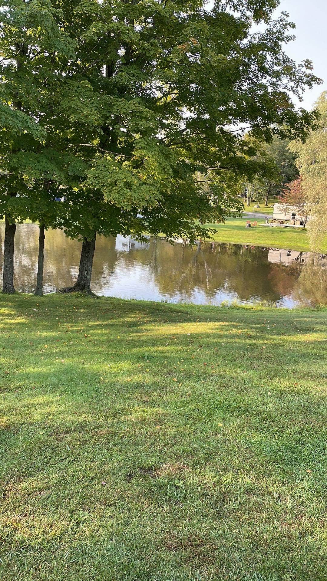 Escape to Nature: Your Guide to New York's Woodland Hills Campground