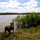 Review photo of Pretty Lake State Forest Campground by Nikki P., September 18, 2022