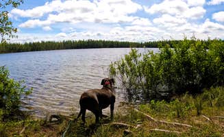 Nikki P.'s photo of camping with pets at Pretty Lake State Forest Campground near Grand Marais, MI
