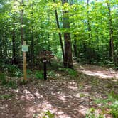 Review photo of Pretty Lake State Forest Campground by Nikki P., September 18, 2022