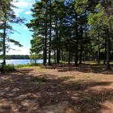 Review photo of Pretty Lake State Forest Campground by Nikki P., September 18, 2022