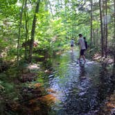 Review photo of Pretty Lake State Forest Campground by Nikki P., September 18, 2022