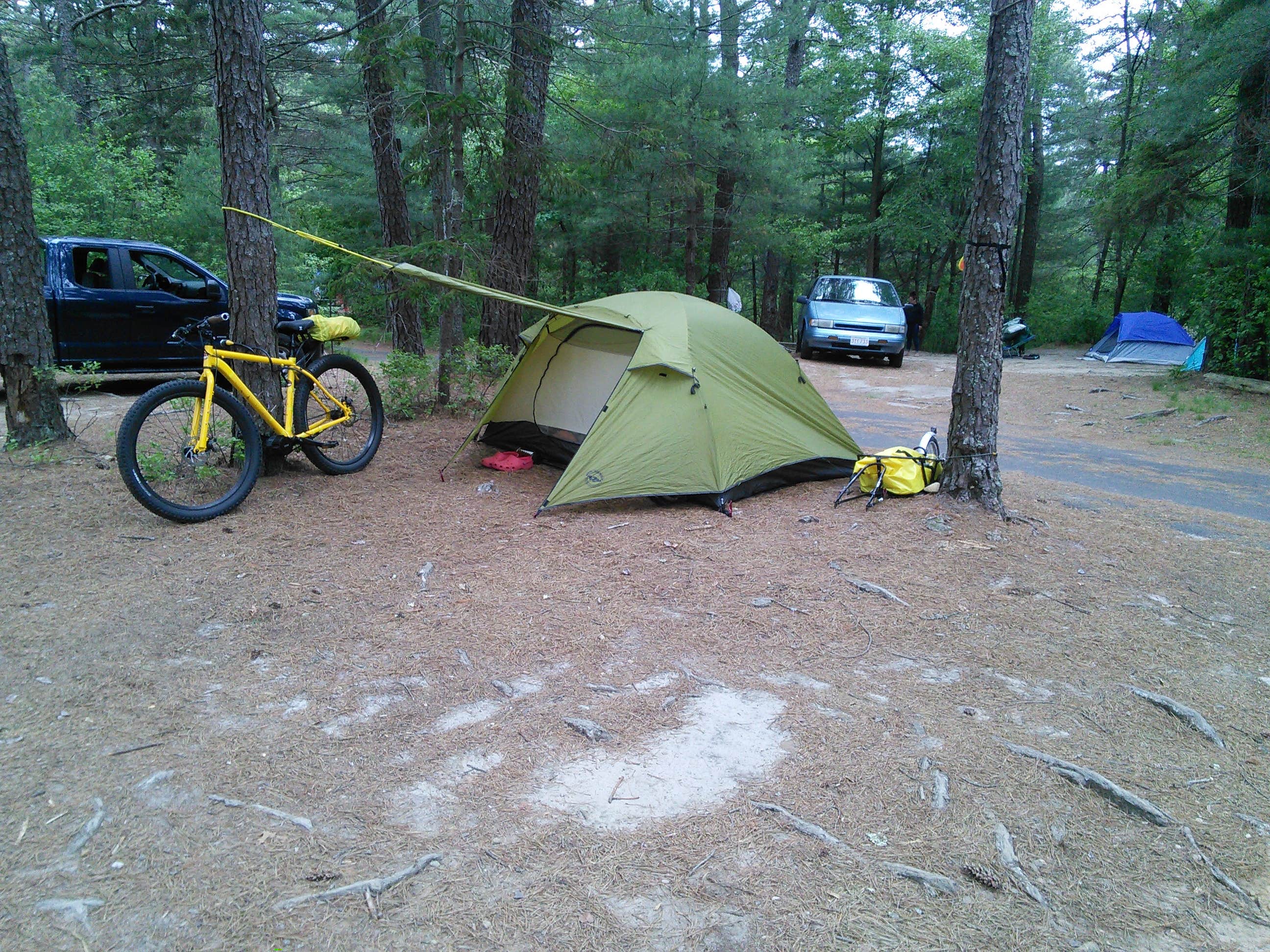 Camper submitted image from Charge Pond Campground — Myles Standish State Forest - 4
