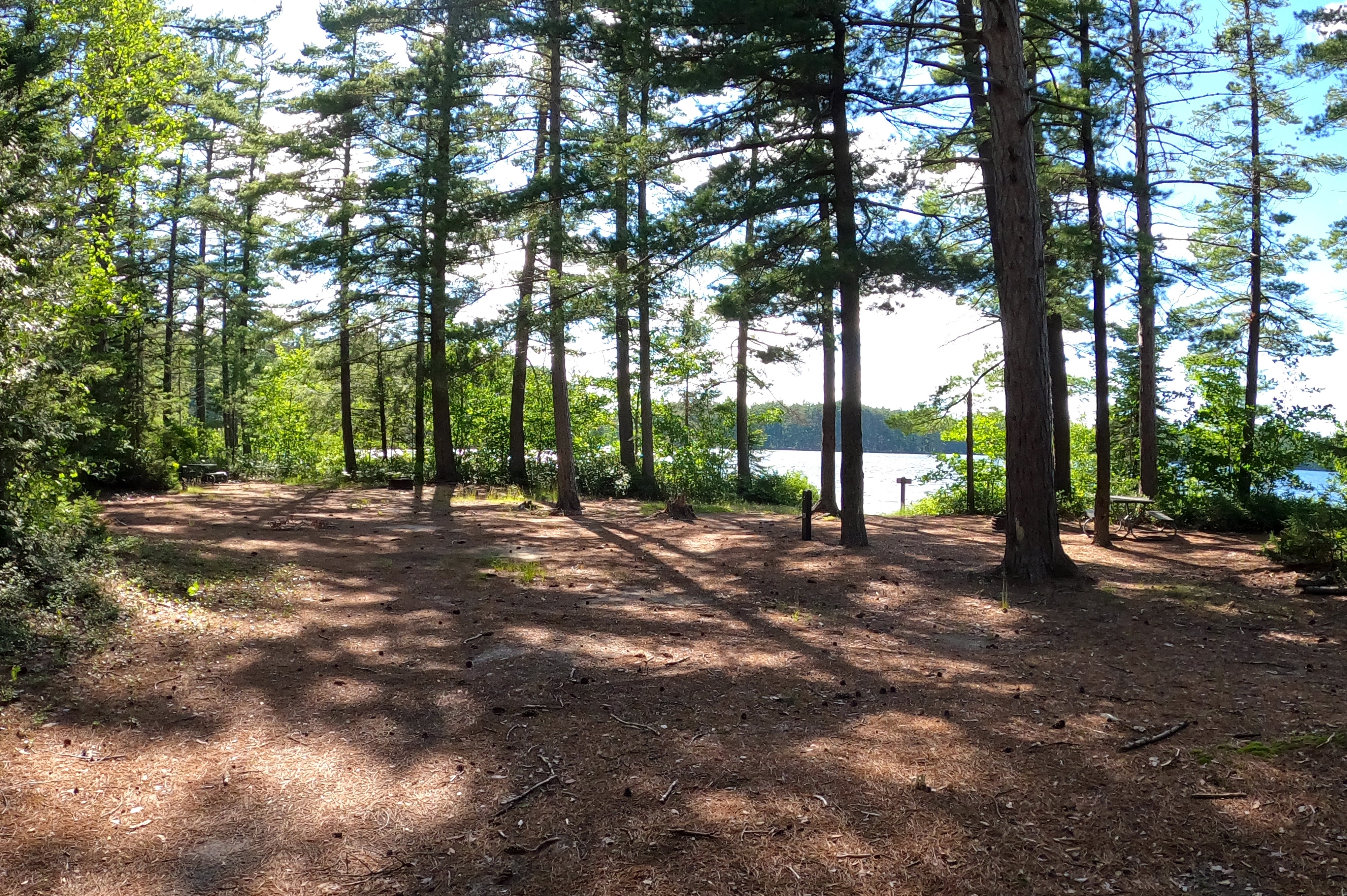 Camper submitted image from Pretty Lake State Forest Campground - 1