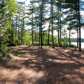 Review photo of Pretty Lake State Forest Campground by Nikki P., September 18, 2022