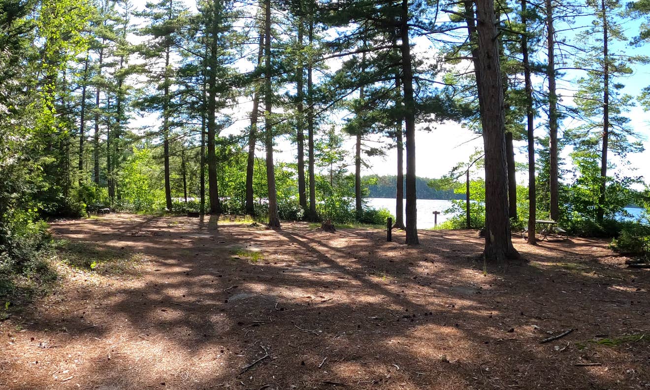 Lake Superior State Forest Campground | Newberry, MI
