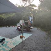 Review photo of Henderson Beach State Park Campground by Rachel G., September 18, 2022