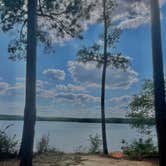 Review photo of Hawe Creek - J Strom Thurmond Lake by emily , September 18, 2022