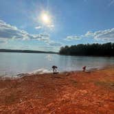 Review photo of Hawe Creek - J Strom Thurmond Lake by emily , September 18, 2022