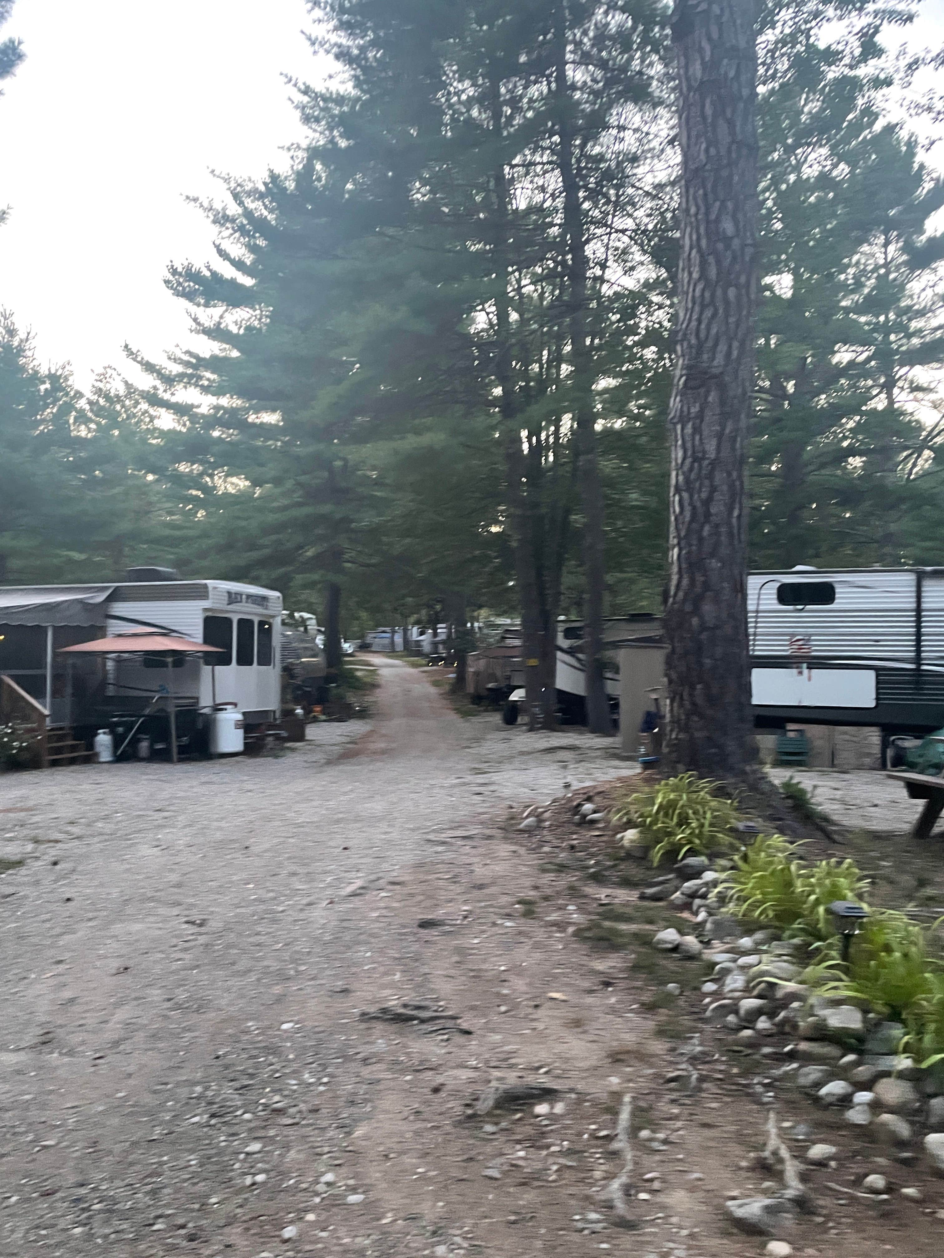 Camper submitted image from Beaver Hollow Campground - 3