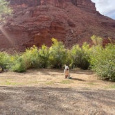 Review photo of Hal Canyon Campground by Shelby P., September 18, 2022