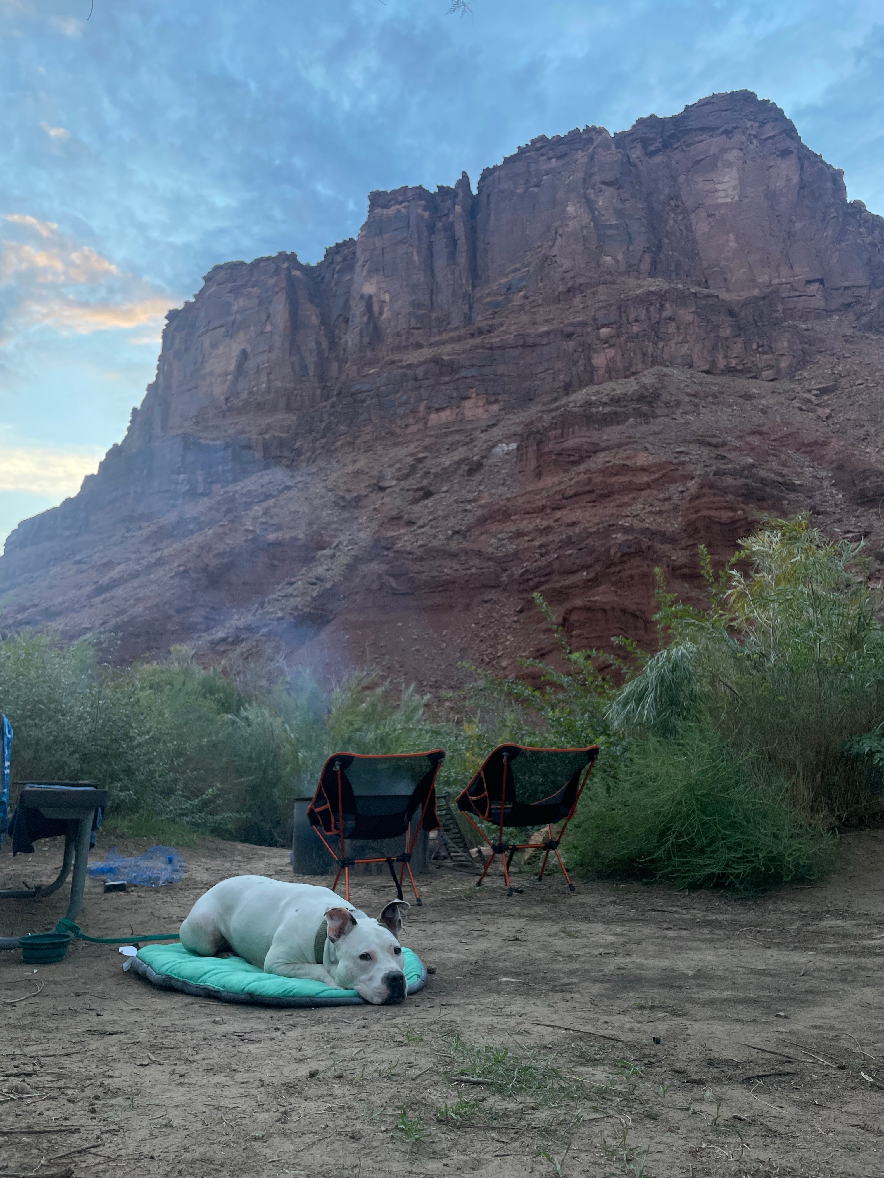 Camper submitted image from Hal Canyon Campground - 1