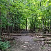 Review photo of Findley State Park Campground by Daniel & Heather U., September 18, 2022