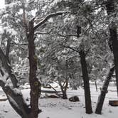 Review photo of Mather Campground — Grand Canyon National Park by Mara F., September 2, 2018