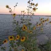 Review photo of COE Milford Lake Curtis Creek Park by Wally C., September 18, 2022