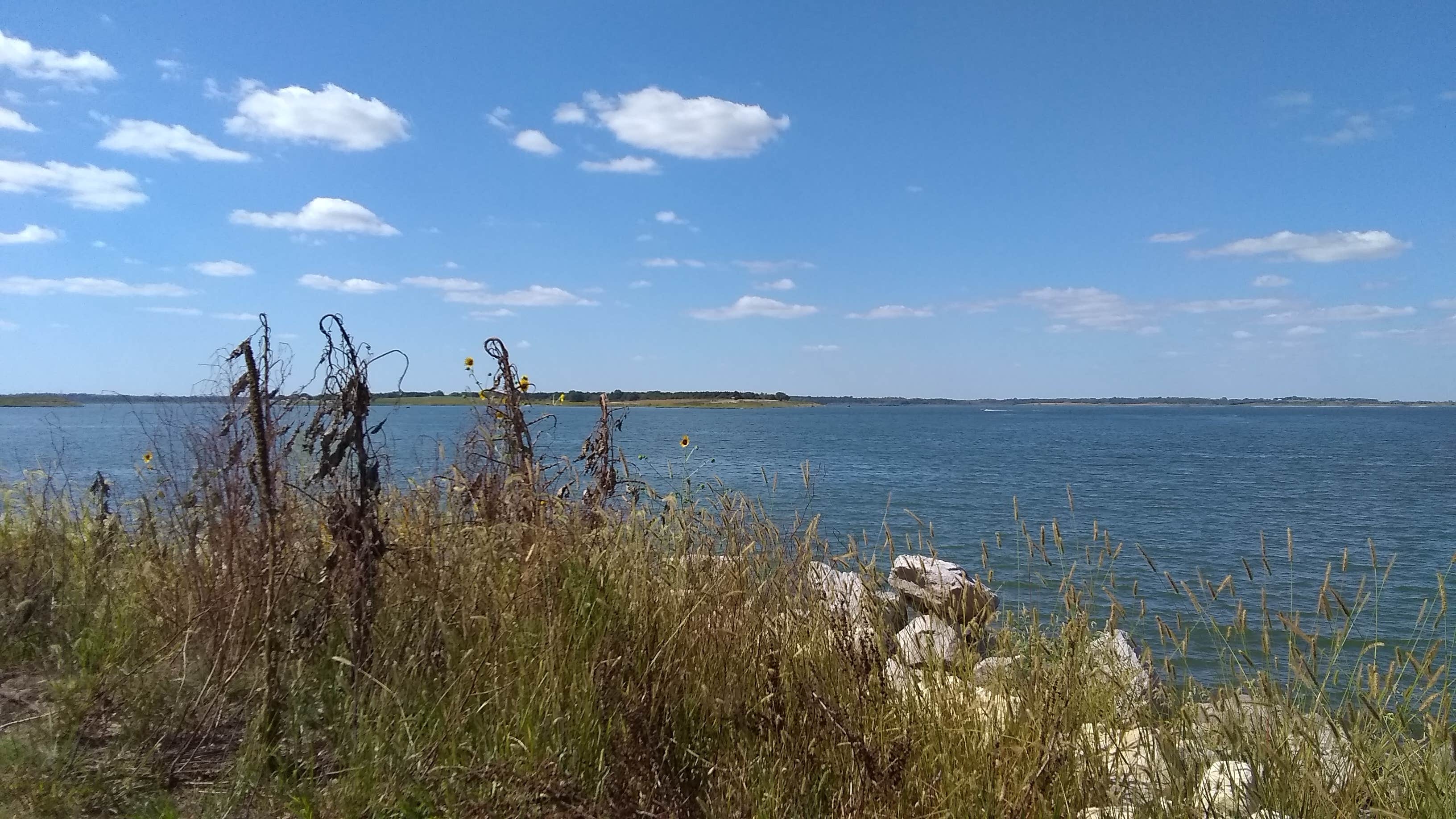 Camper submitted image from COE Milford Lake Curtis Creek Park - 1