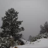 Review photo of Mather Campground — Grand Canyon National Park by Mara F., September 2, 2018