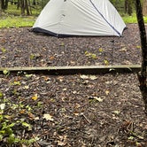 Review photo of Big Island Campground — Myre-Big Island State Park by Andrew M., September 18, 2022