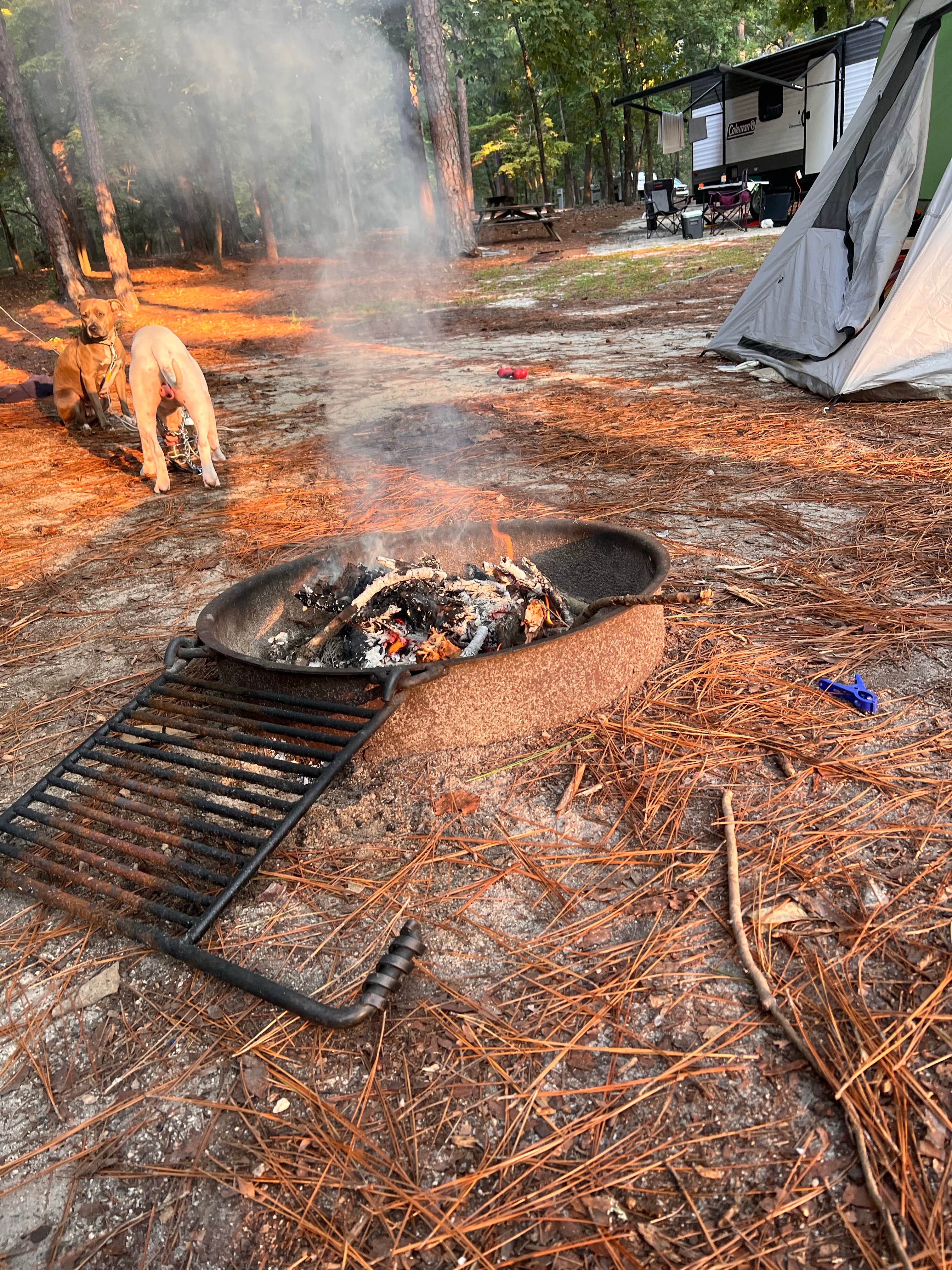 HeZ 🧜.'s photo at Sesquicentennial State Park Campground near Irmo, SC