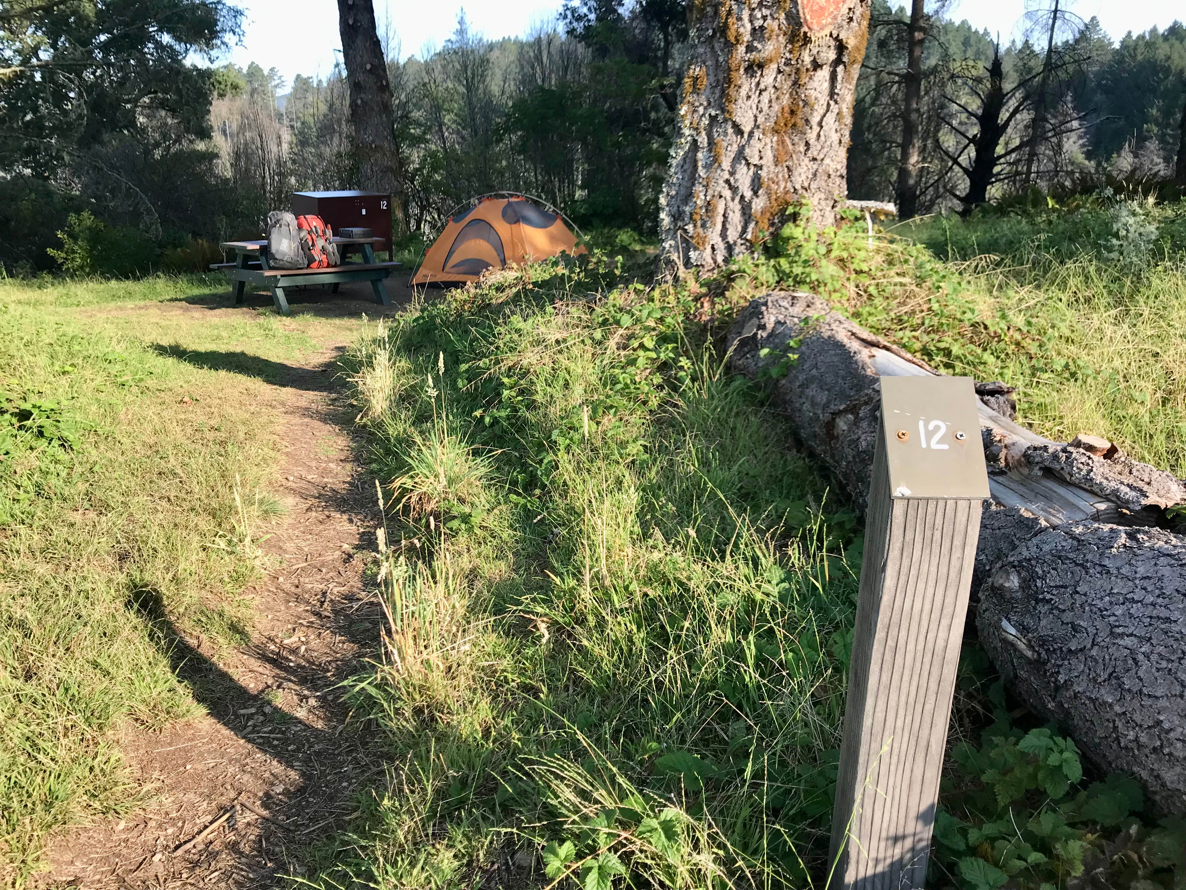 Kim C.'s photo at Sky Campground — Point Reyes National Seashore near Tomales, CA