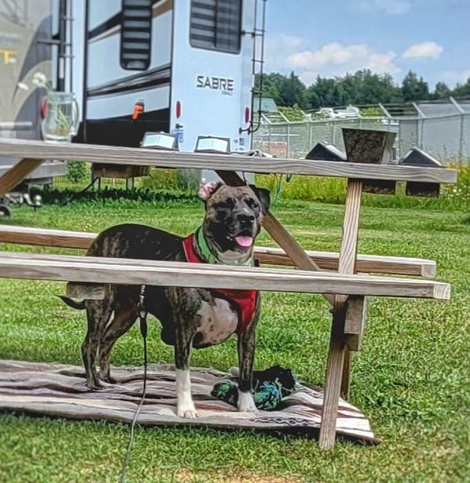 Camper-submitted photo at Country Village RV Park near Champion, MI