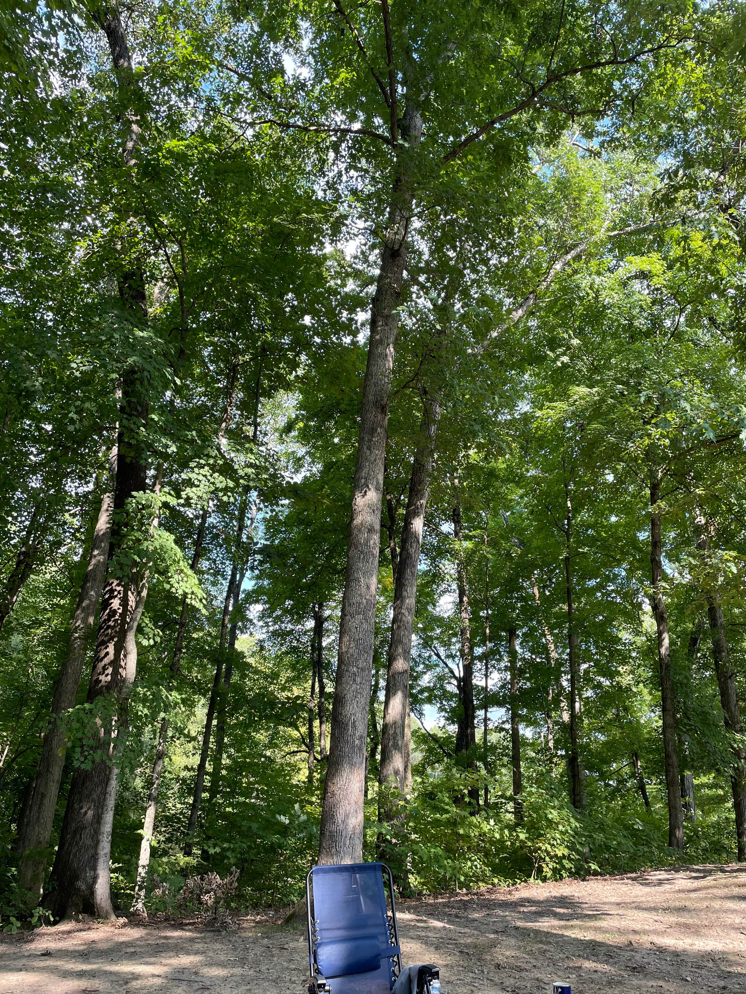 Lerin P.'s photo at Shale Bluff Campground — Hardy Lake State Recreation Area near Charlestown, IN