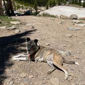 Review photo of Fall River Reservoir Dispersed Camping Trail by Cameron B., September 18, 2022