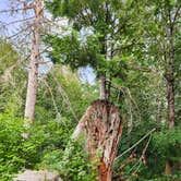 Review photo of Mt Hood Village Resort by James B., September 19, 2022