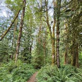 Review photo of Mt Hood Village Resort by James B., September 19, 2022