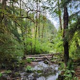 Review photo of Mt Hood Village Resort by James B., September 19, 2022