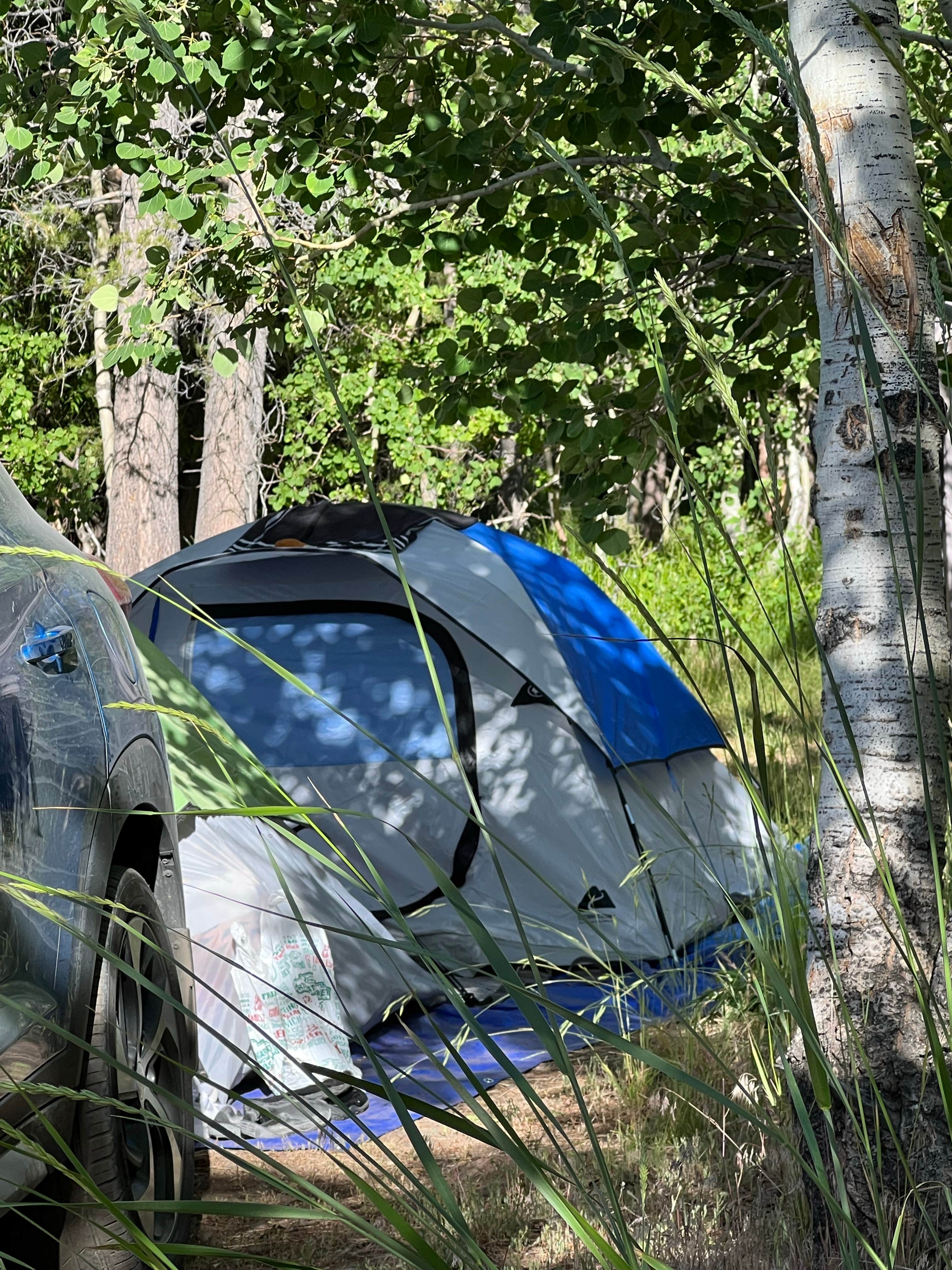 Camper-submitted photo at Lundy Lake Campground near Bridgeport, CA